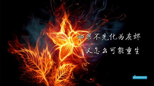 韦春花经典笑话