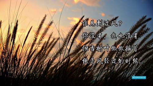 糖豆广场舞黄土高原
