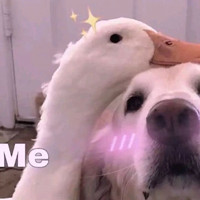搞笑杜甫头像3
