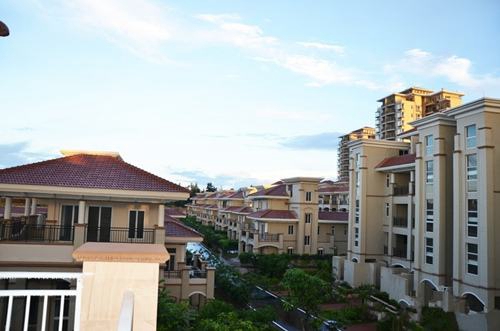 伤感孤独悲伤动物头像7